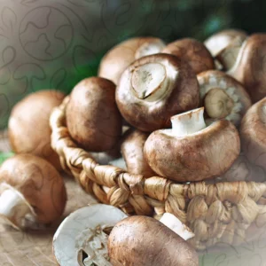 Champignons de Paris marrons