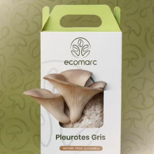 Kit pleurote prêt à pousser