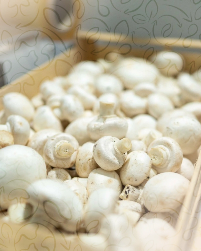 Champignons de Paris blancs