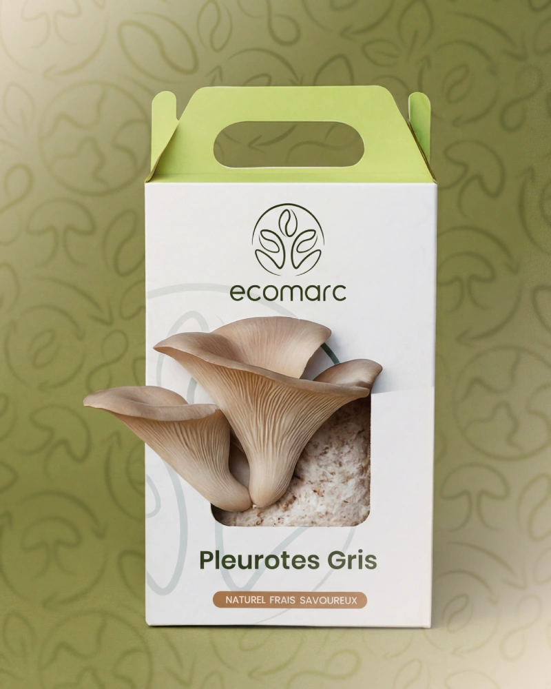 Ready-to-Grow oyster mushroom kit